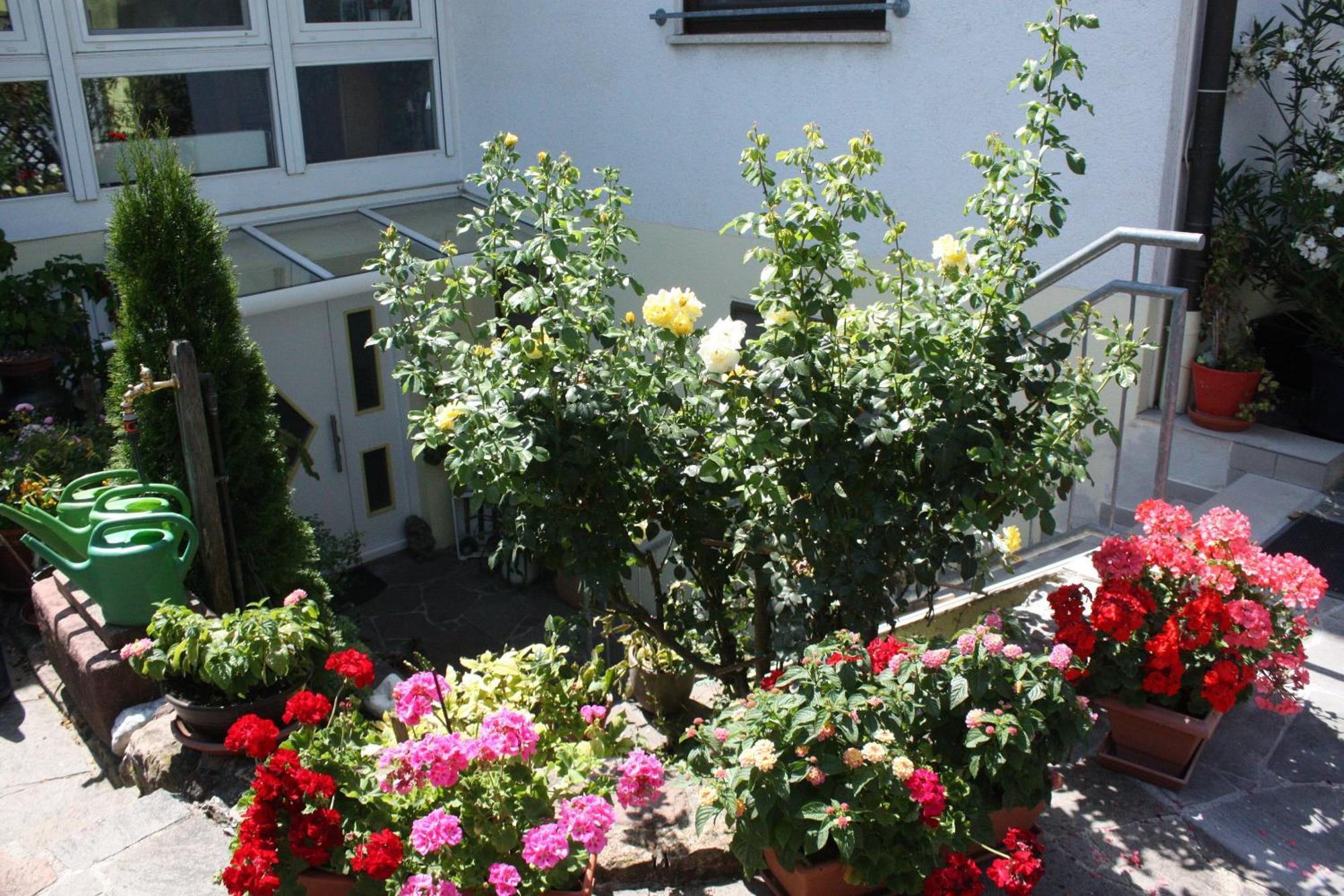Ferienwohnung Burger Sasbach am Kaiserstuhl Bagian luar foto
