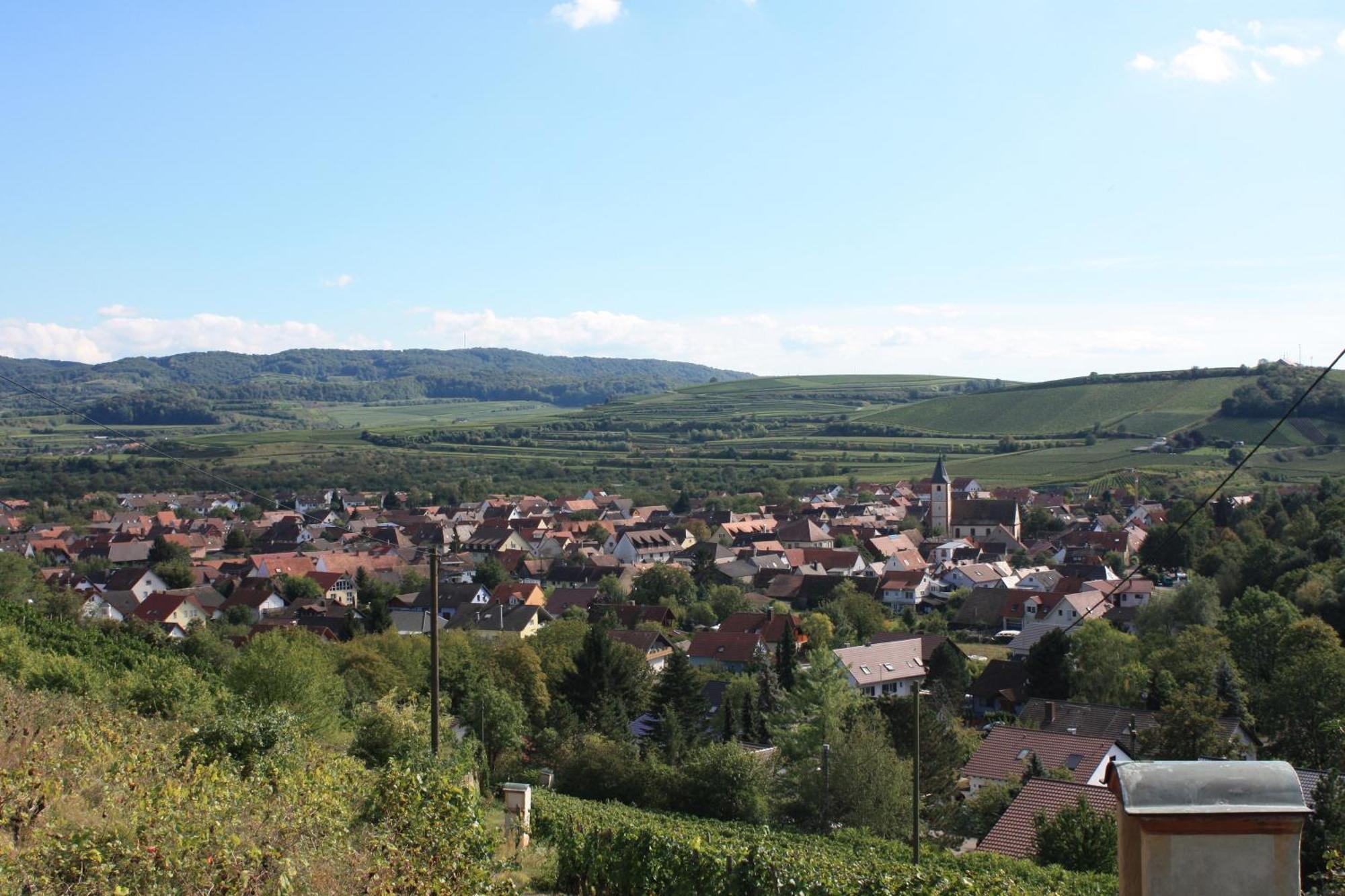 Ferienwohnung Burger Sasbach am Kaiserstuhl Bagian luar foto